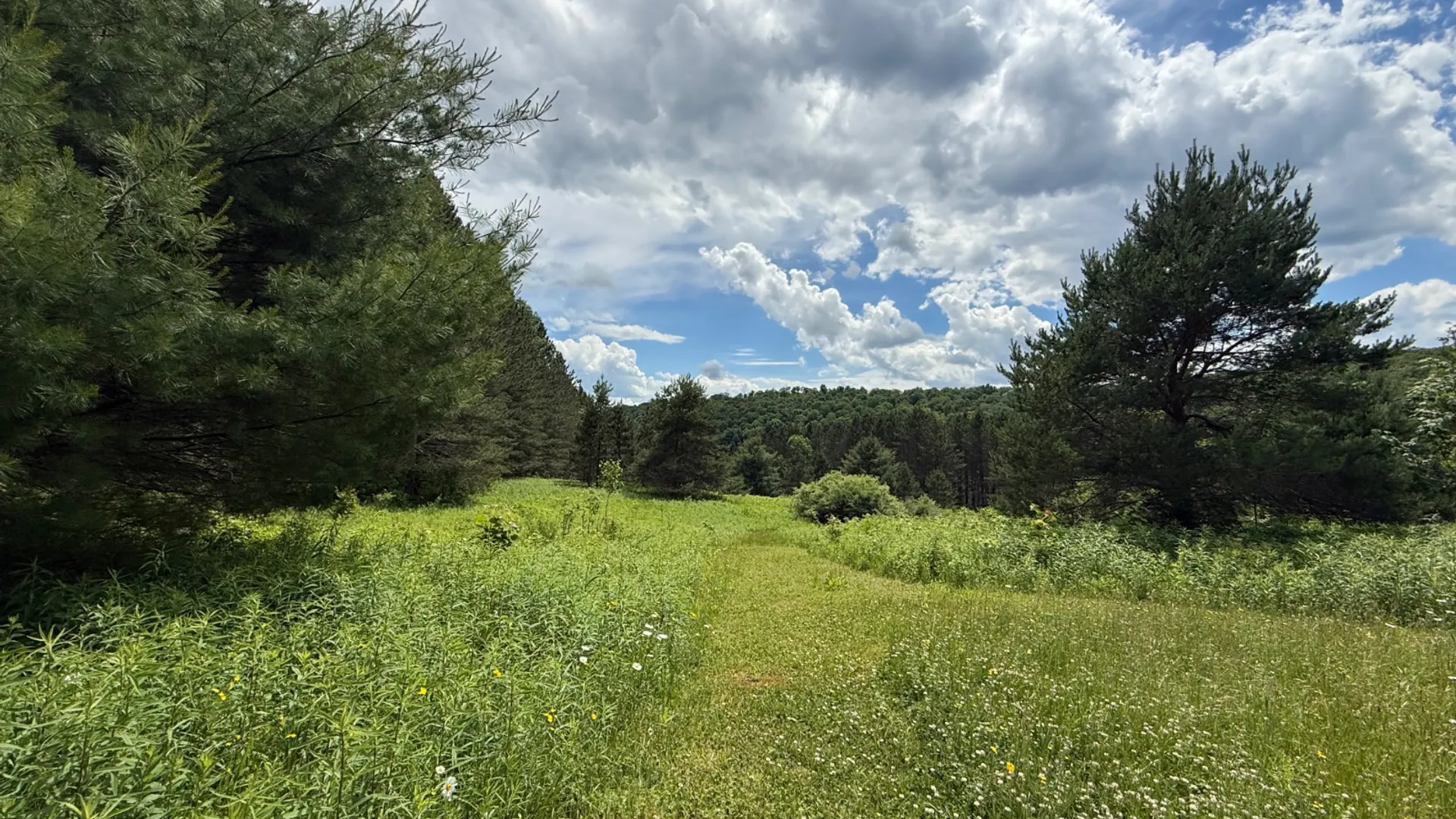 Property at 208 Pottery Ln, Cooperstown, NY 13326 46