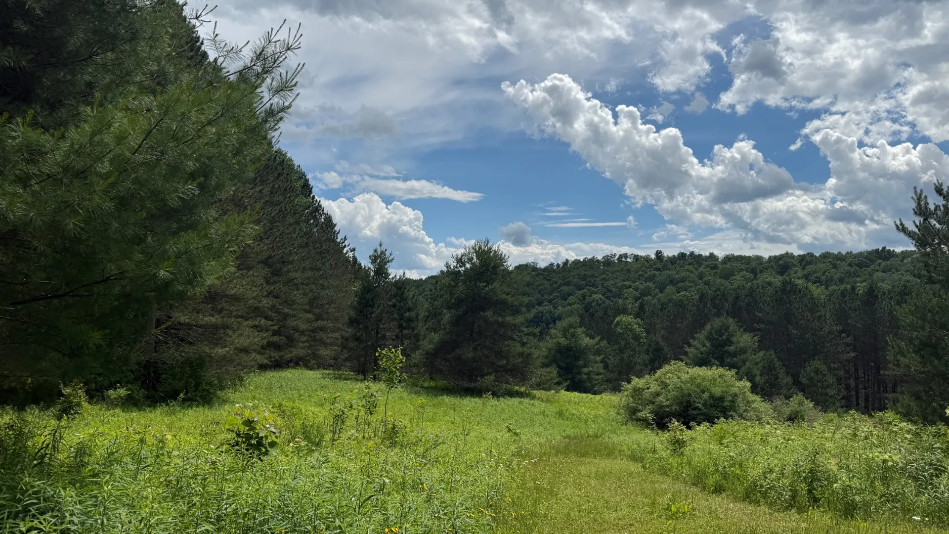 Property at 208 Pottery Ln, Cooperstown, NY 13326 47