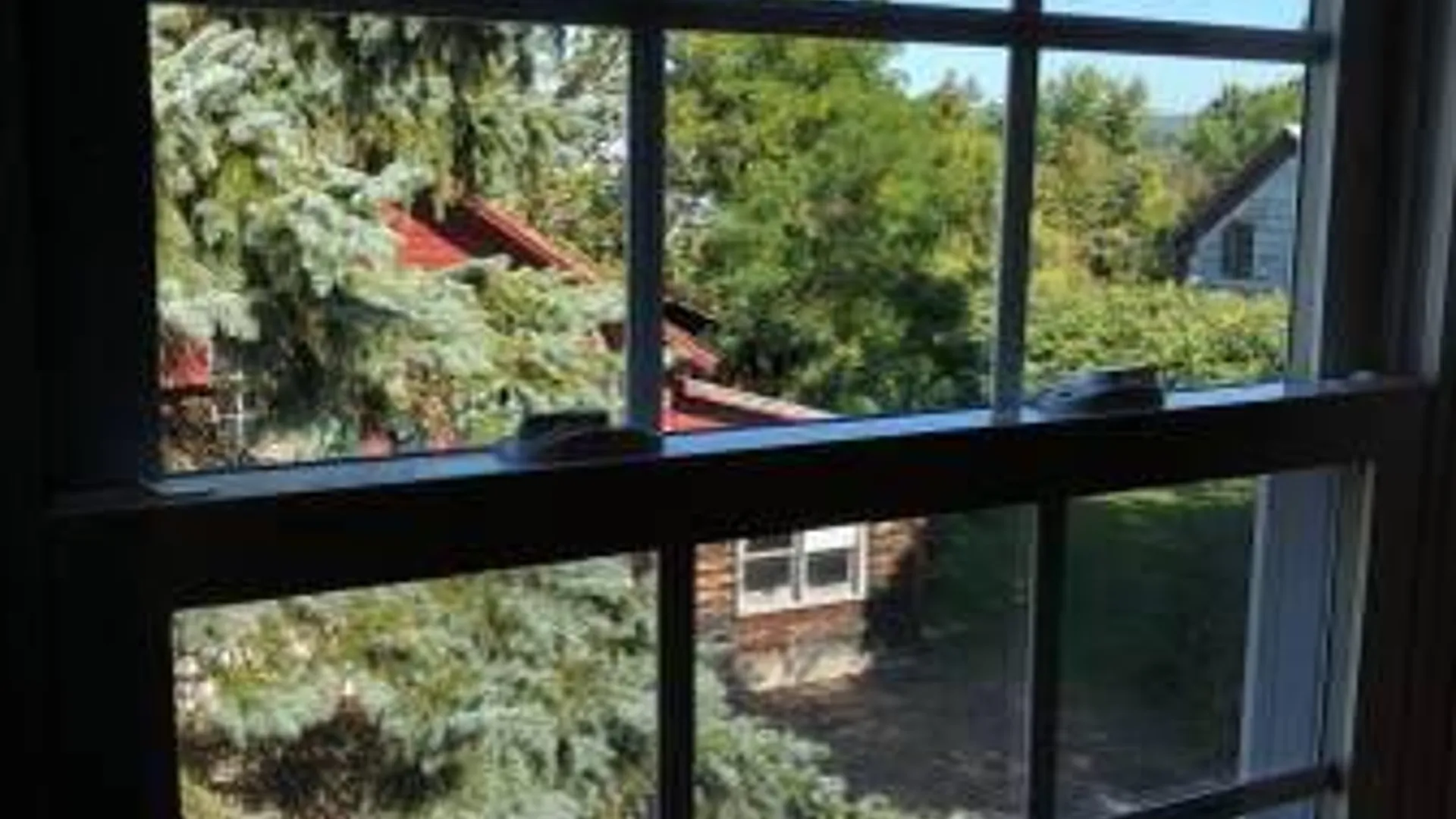 Property at 590-596 Route 22, East Durham (Oak Hill), NY 12423 11