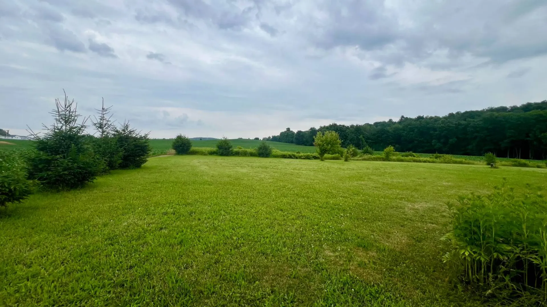 Property at 236 Hollow Road, Amsterdam, NY 12010 8