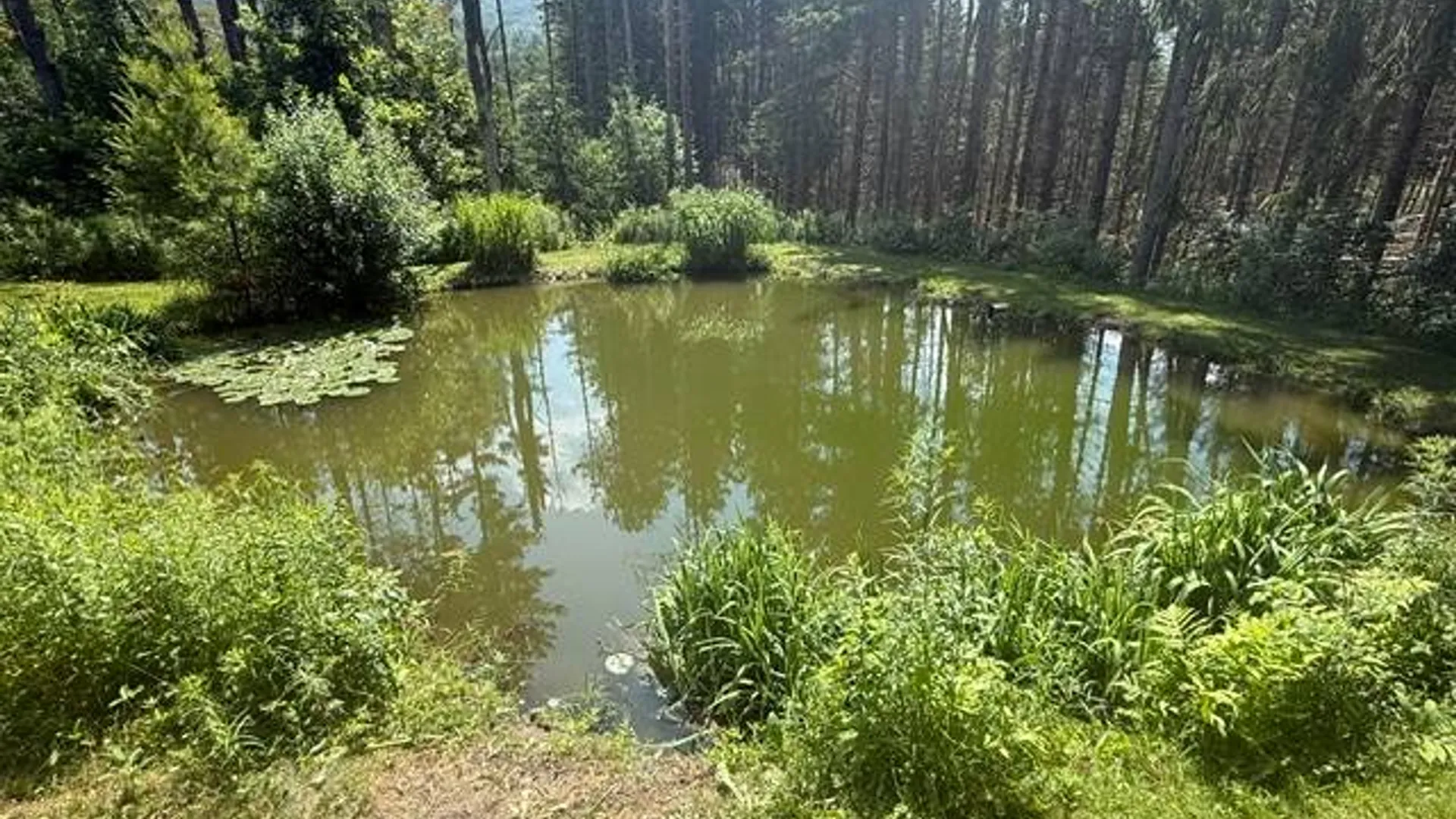 Property at 201 Weaver Dam, Petersburgh, NY 12138 32