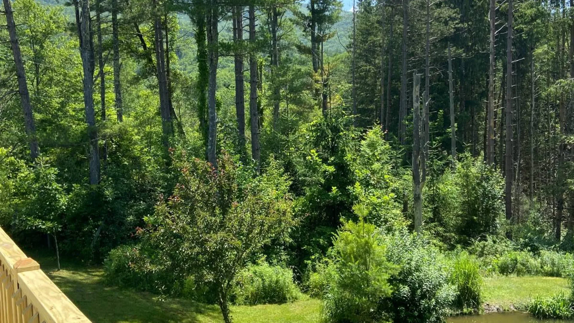 Property at 201 Weaver Dam, Petersburgh, NY 12138 24