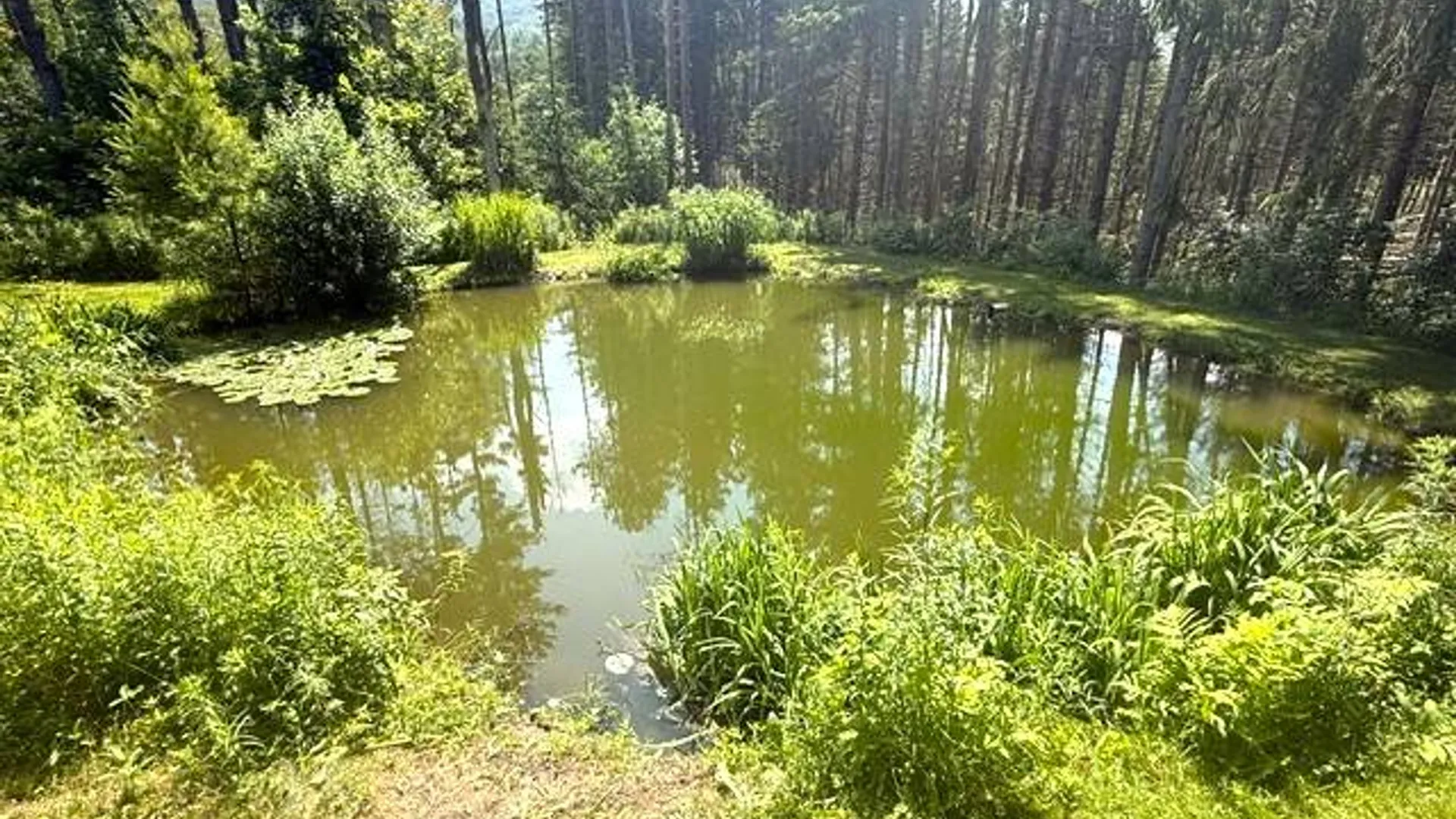 Property at 201 Weaver Dam, Petersburgh, NY 12138 26