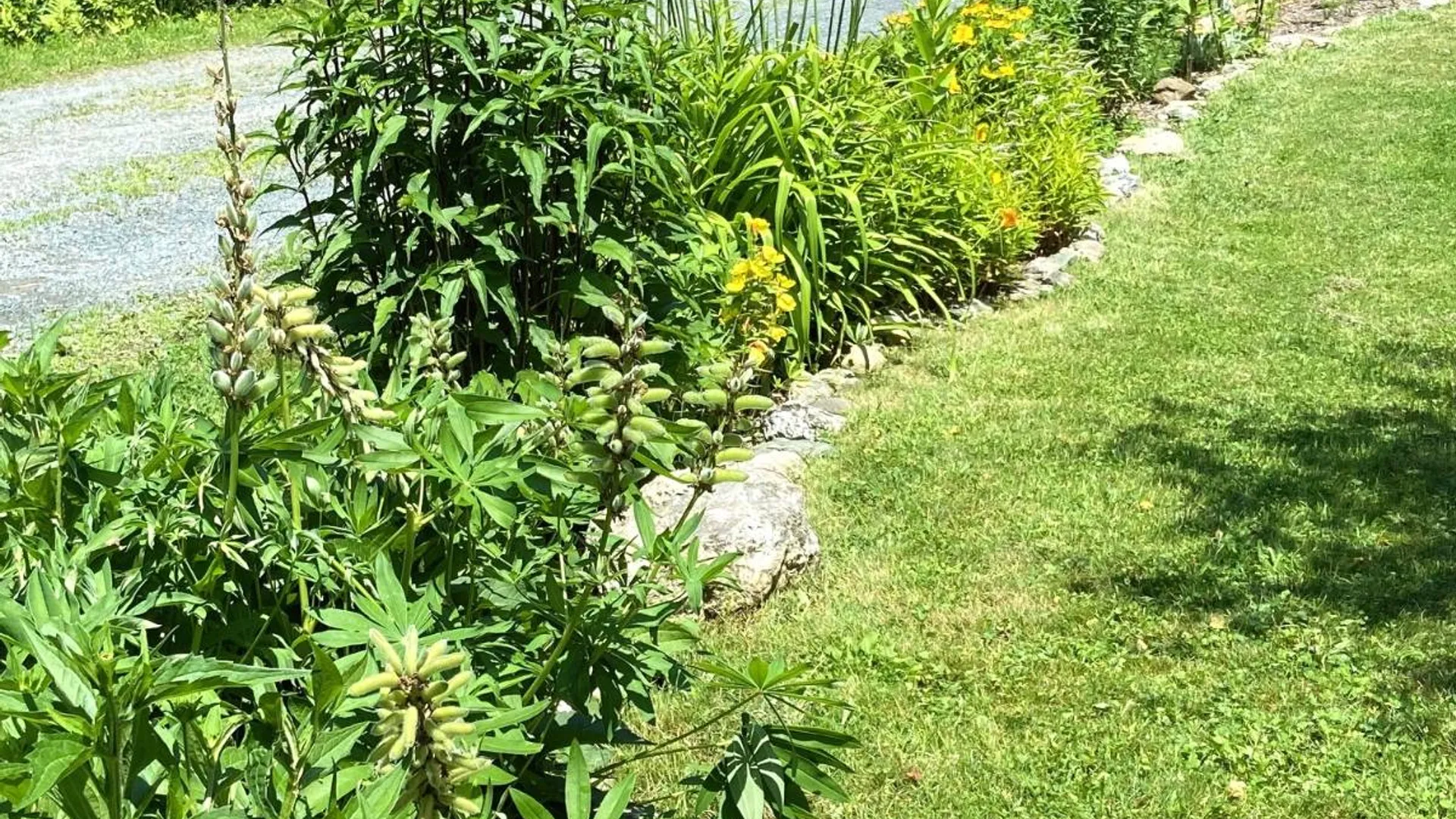 Property at 201 Weaver Dam, Petersburgh, NY 12138 30