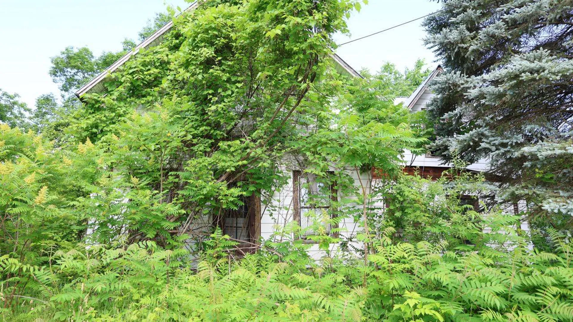 Property at 33 S Pearl St, Malone, NY 12953 3