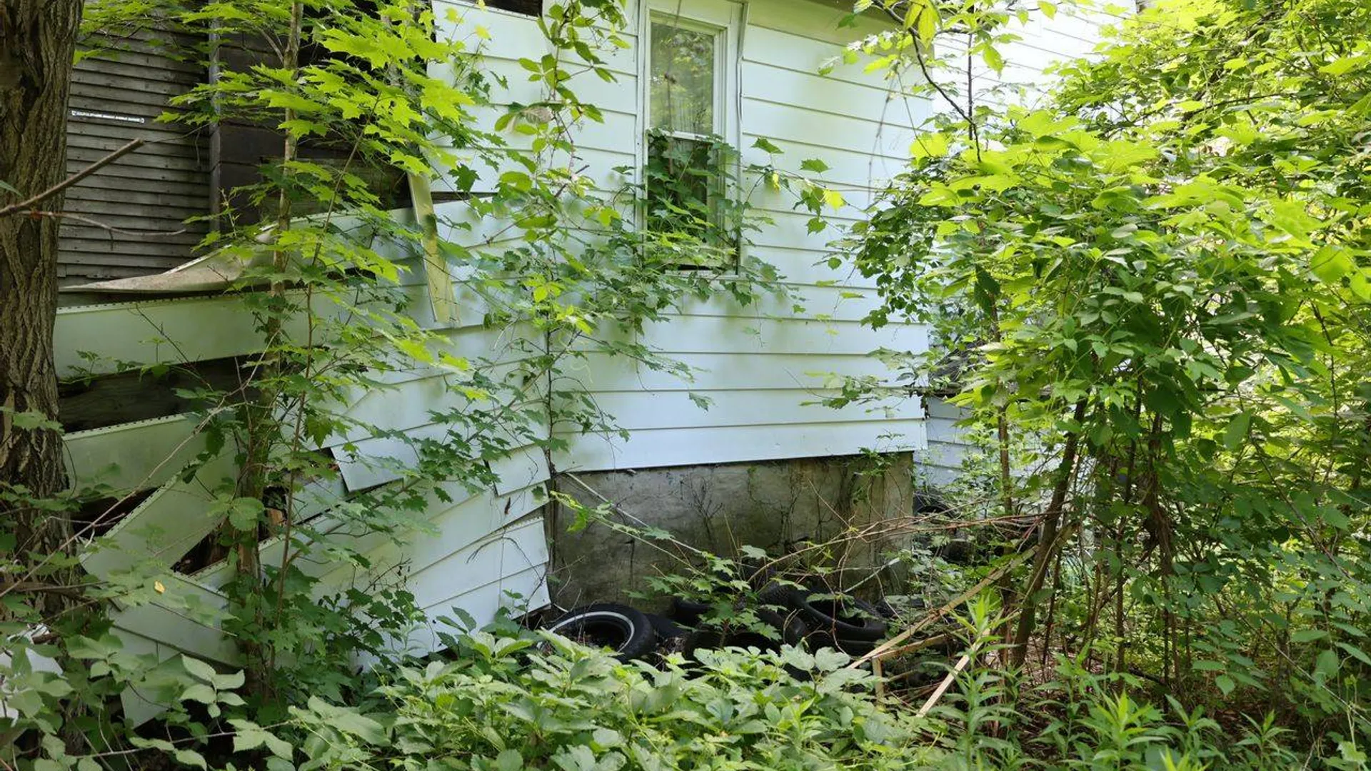 Property at 33 S Pearl St, Malone, NY 12953 9
