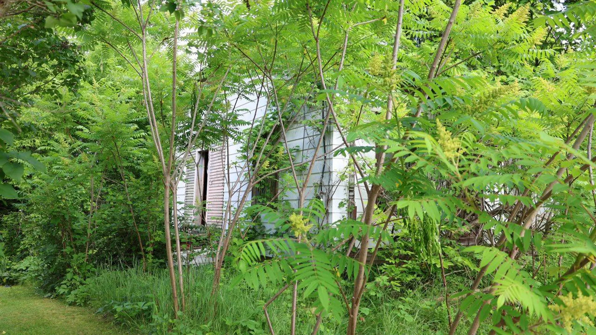 Property at 33 S Pearl St, Malone, NY 12953 11