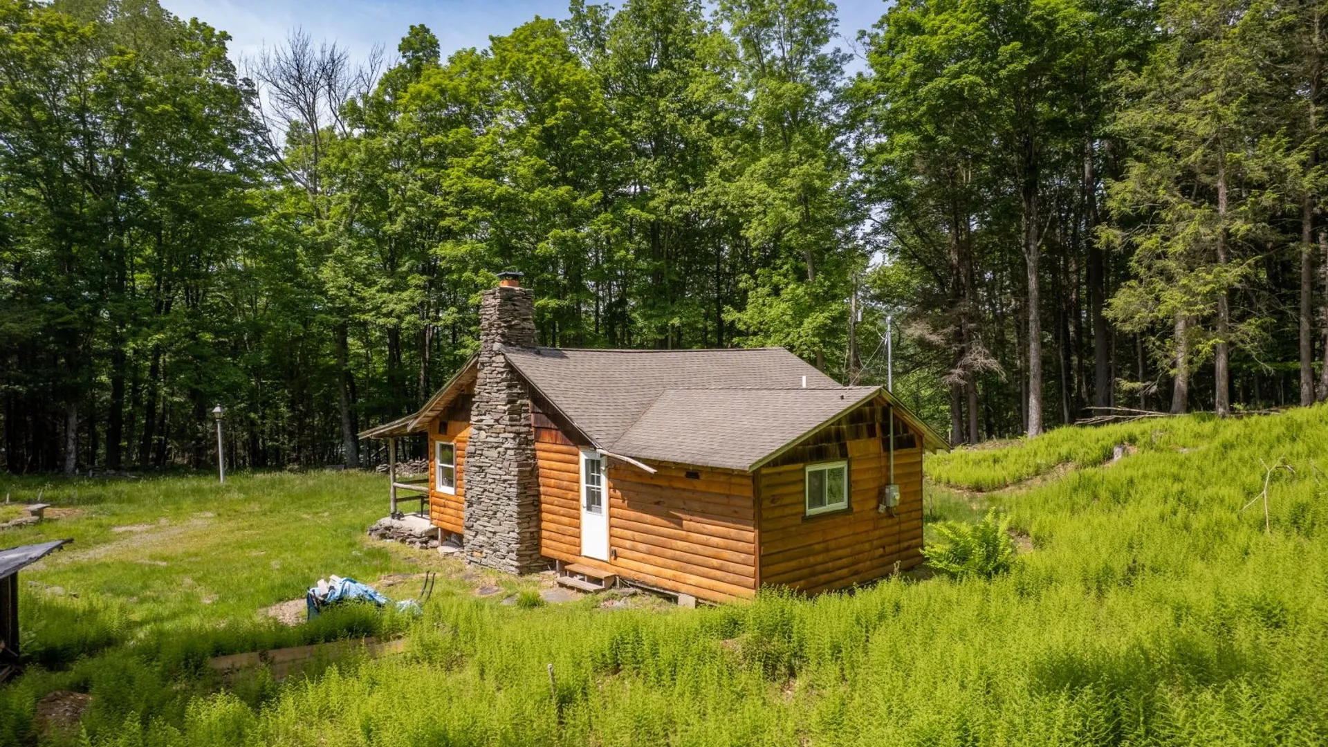 Property at 255 Hammer Hollow Road, Downsville, NY 12776 3