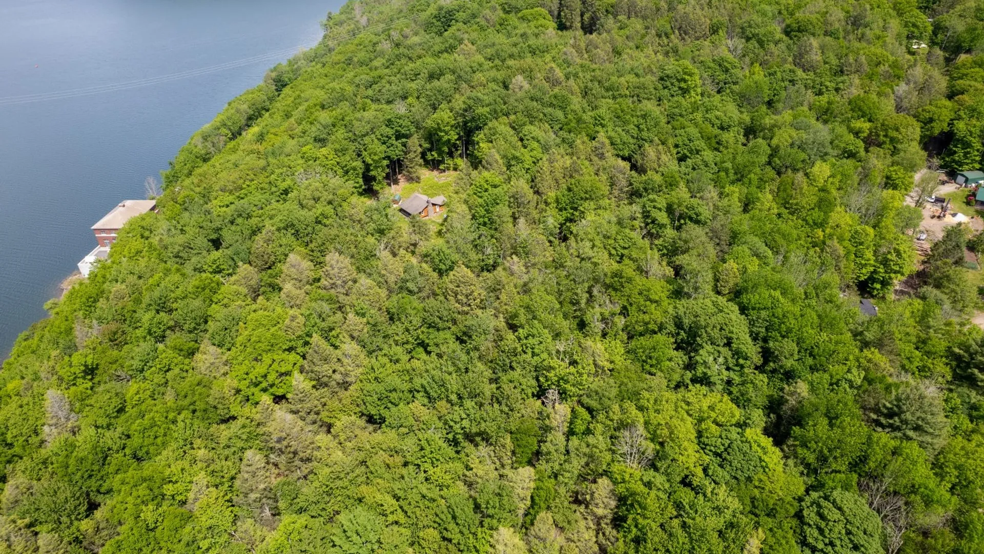 Property at 255 Hammer Hollow Road, Downsville, NY 12776 7