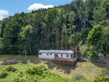 Property at 118 Lookout Dr, Charlotteville, NY 12036