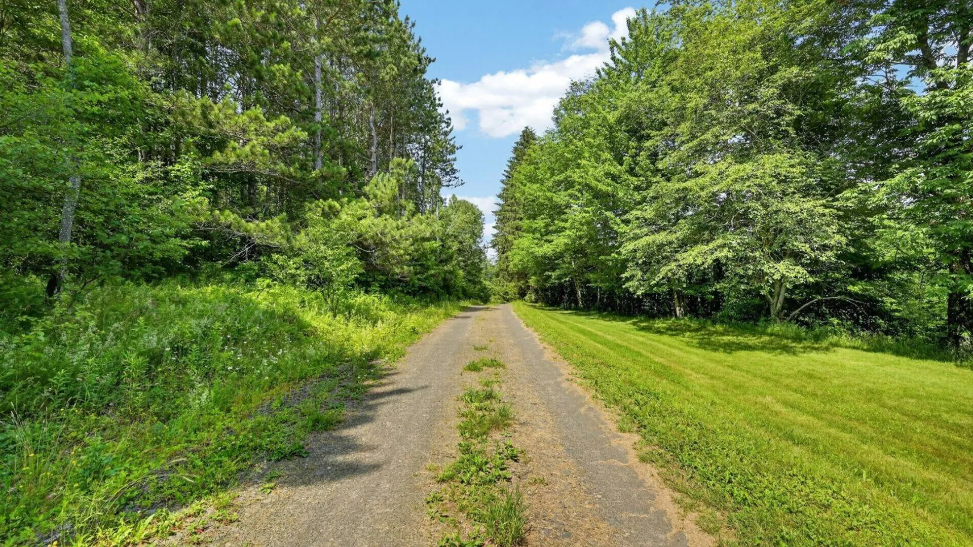 Property at 118 Lookout Dr, Charlotteville, NY 12036 6