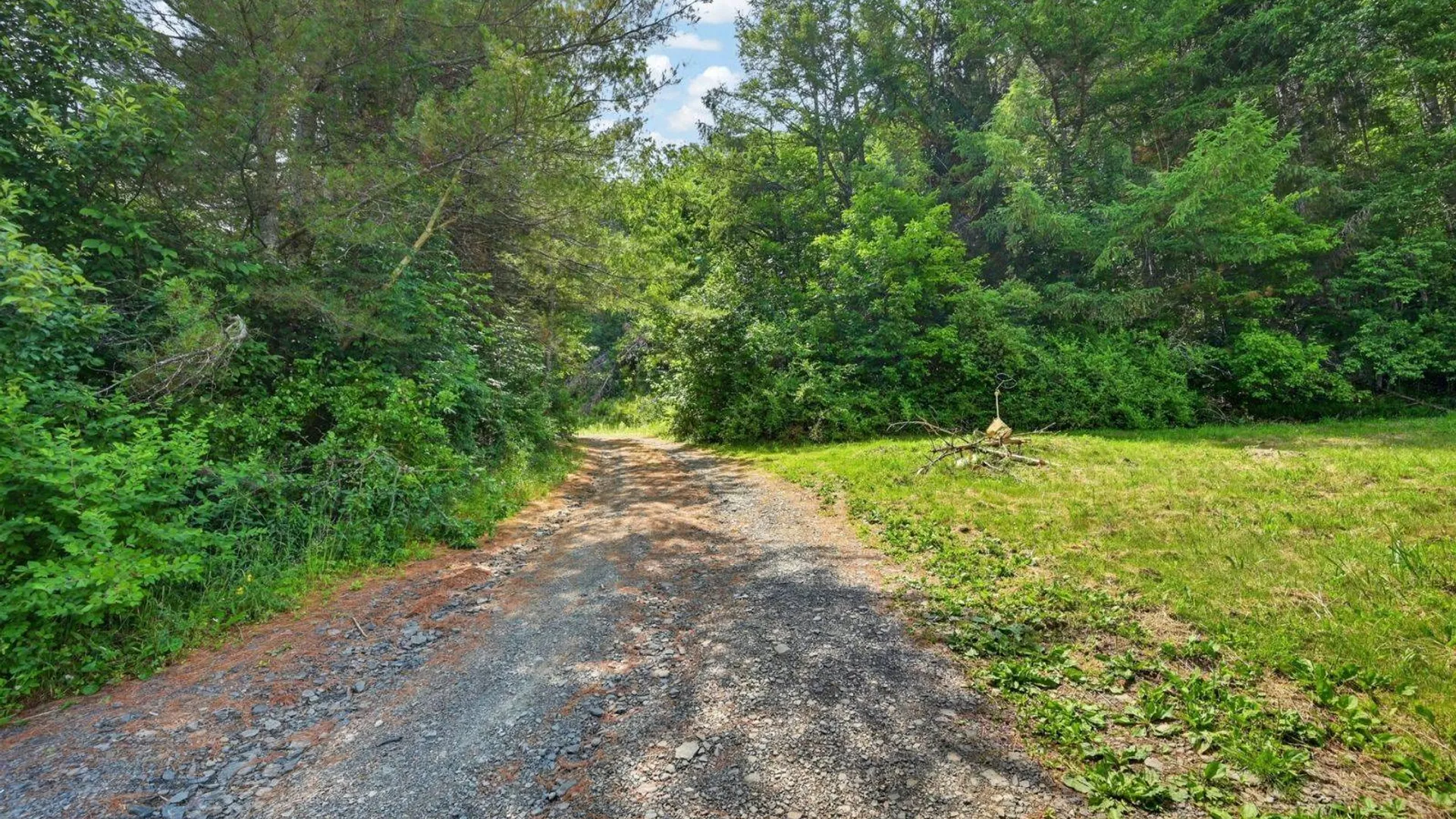 Property at 118 Lookout Dr, Charlotteville, NY 12036 32