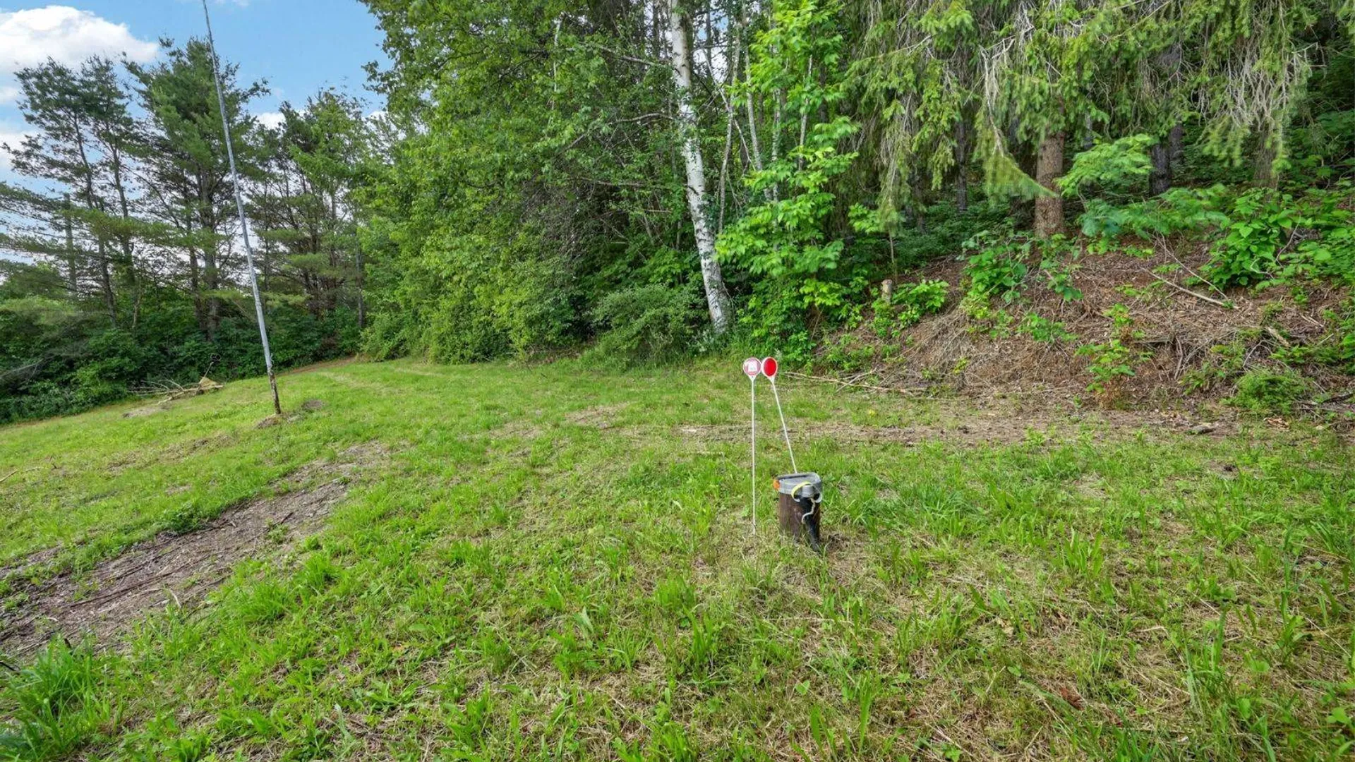 Property at 118 Lookout Dr, Charlotteville, NY 12036 33
