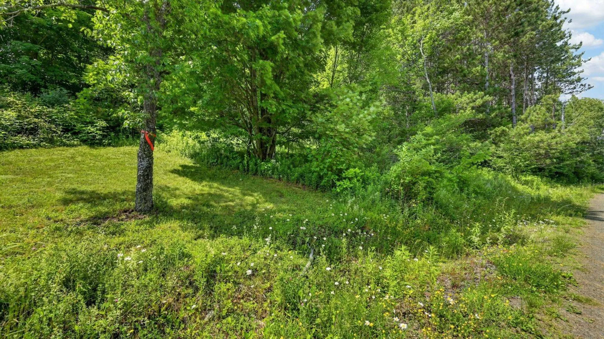Property at 118 Lookout Dr, Charlotteville, NY 12036 34