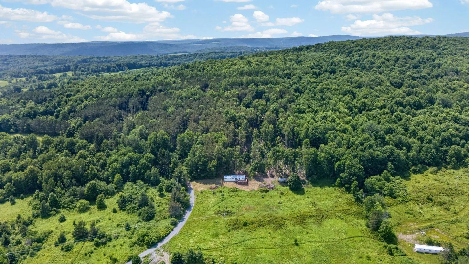Property at 118 Lookout Dr, Charlotteville, NY 12036 3