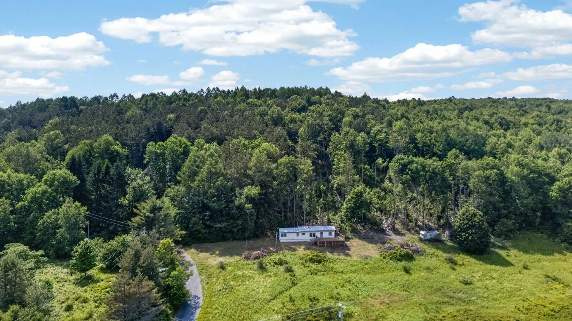 Property at 118 Lookout Dr, Charlotteville, NY 12036 36