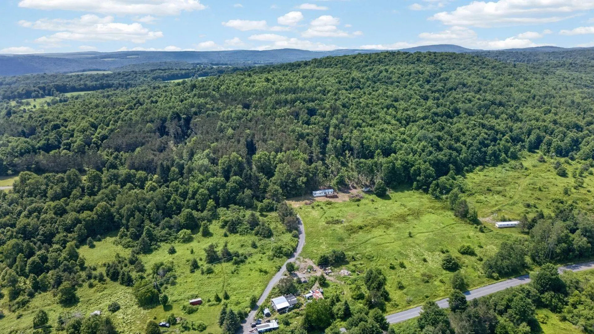 Property at 118 Lookout Dr, Charlotteville, NY 12036 37