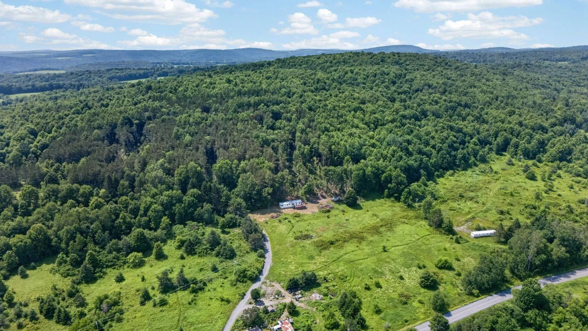 Property at 118 Lookout Dr, Charlotteville, NY 12036 38
