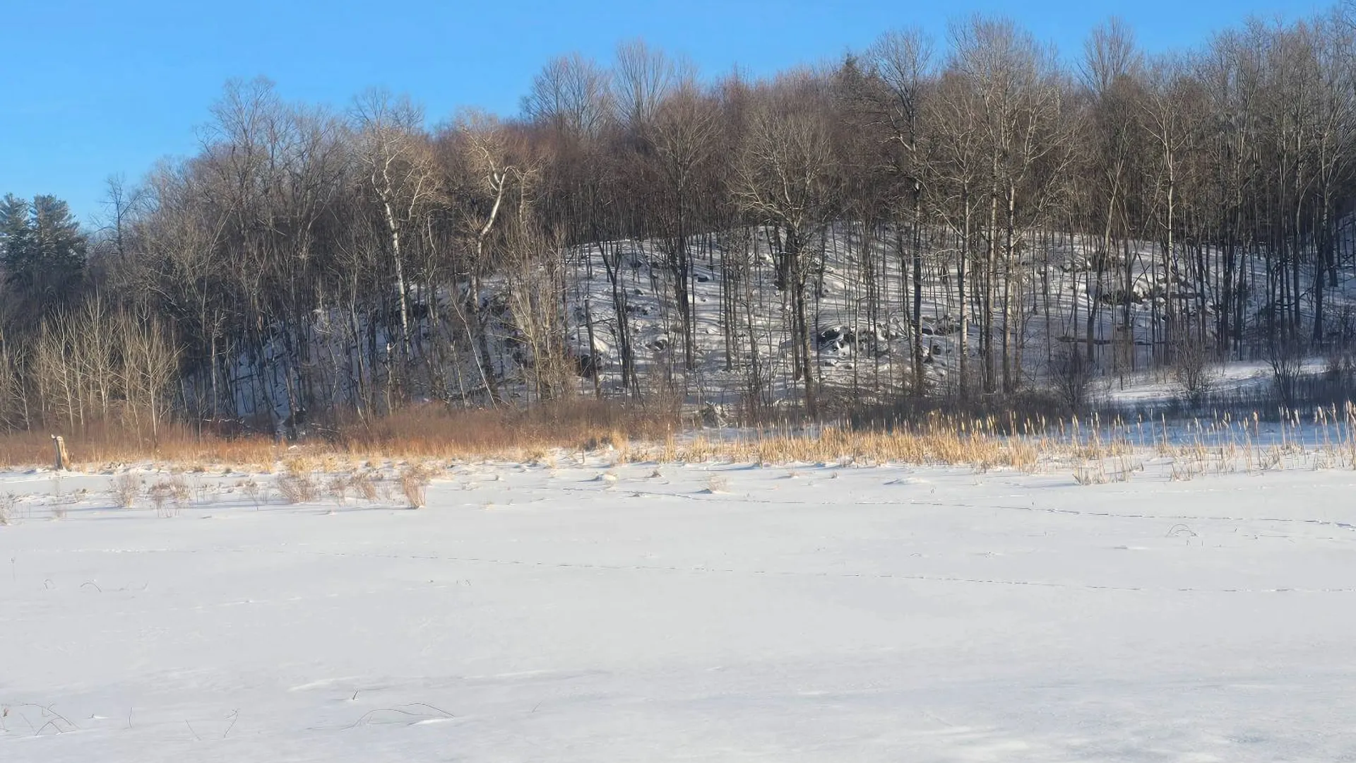 Property at 155 hutton rd, Gouverneur, NY 13642 25