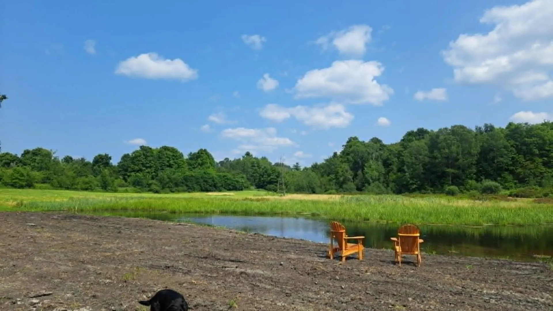 Property at 155 hutton rd, Gouverneur, NY 13642 3