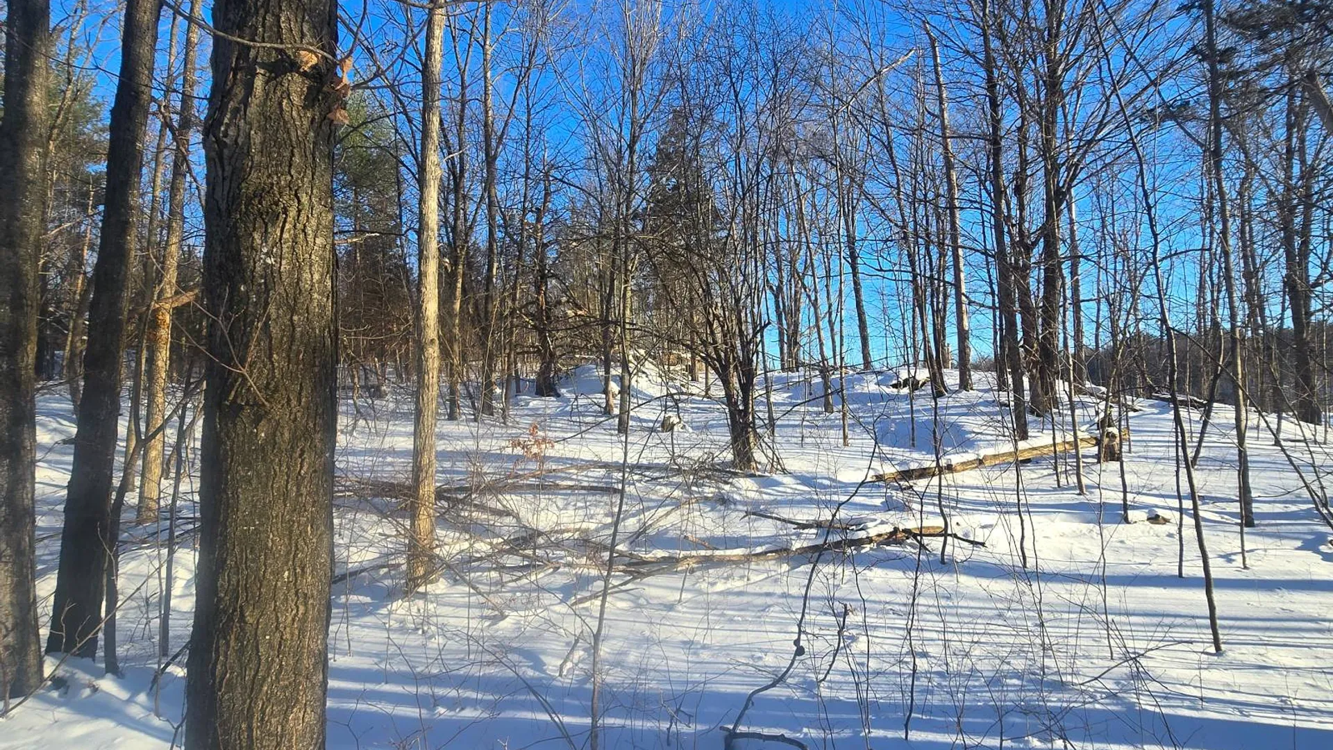 Property at 155 hutton rd, Gouverneur, NY 13642 32