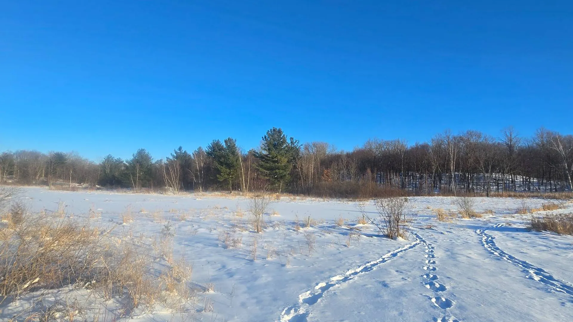 Property at 155 hutton rd, Gouverneur, NY 13642 34