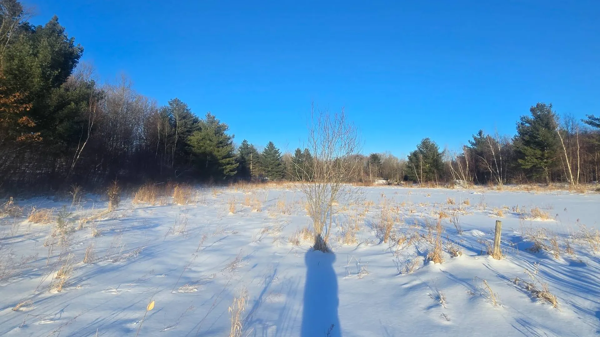 Property at 155 hutton rd, Gouverneur, NY 13642 35