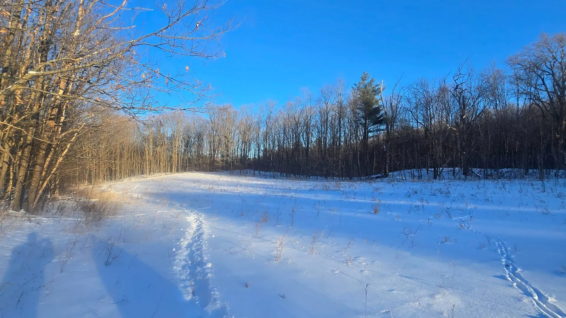 Property at 155 hutton rd, Gouverneur, NY 13642 36