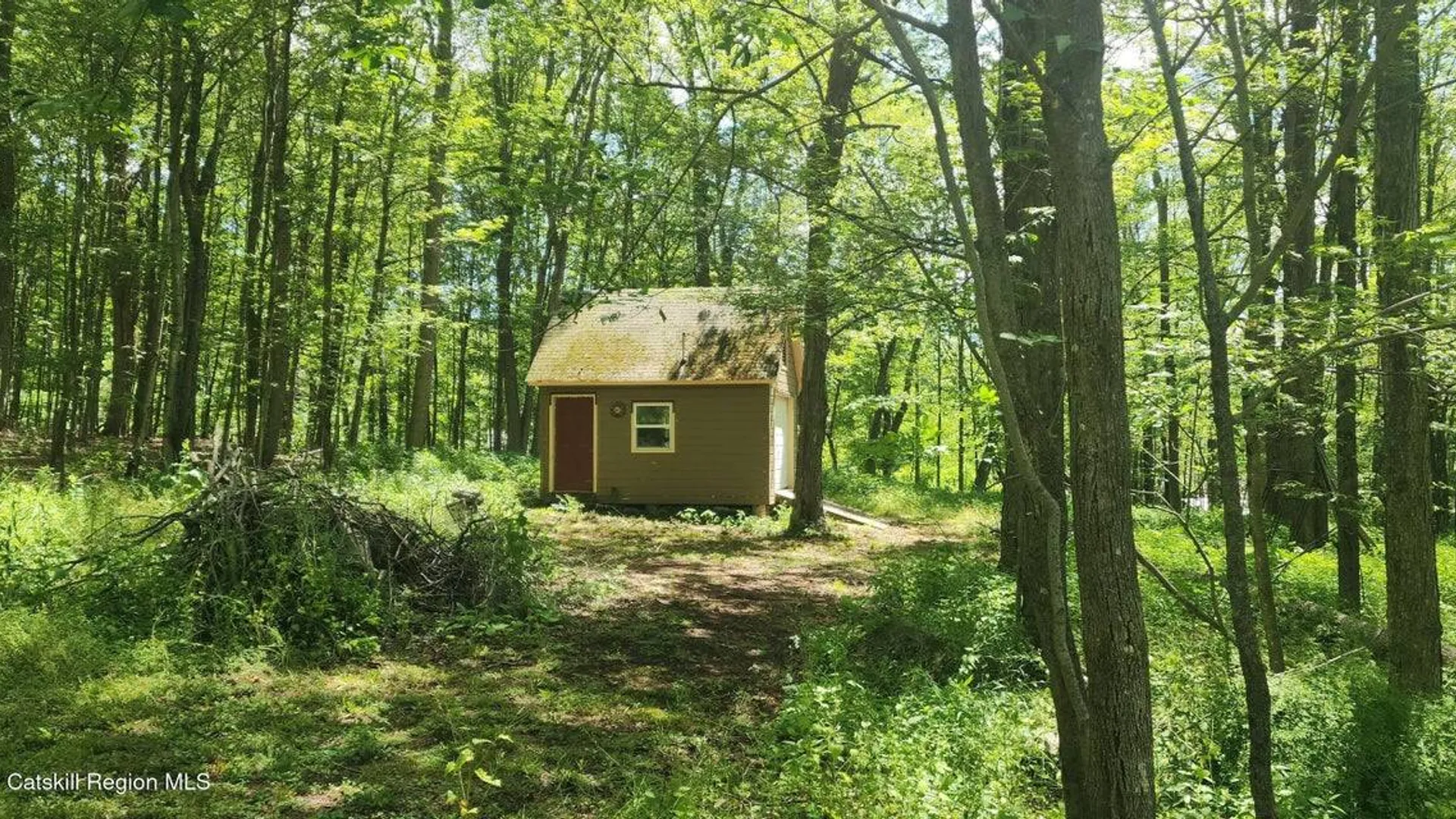 Property at 12172 Rt. 23, Ashland, NY 12407 18