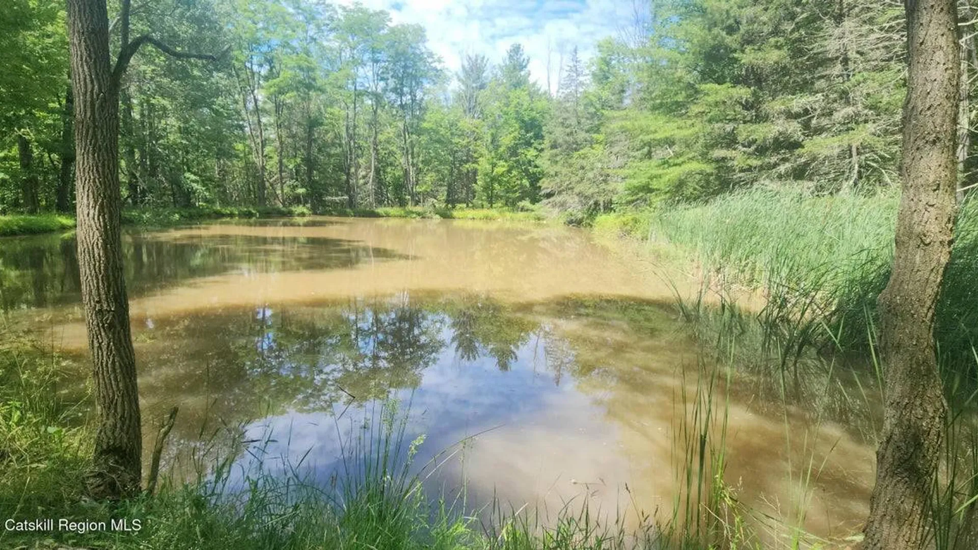 Property at 12172 Rt. 23, Ashland, NY 12407 4