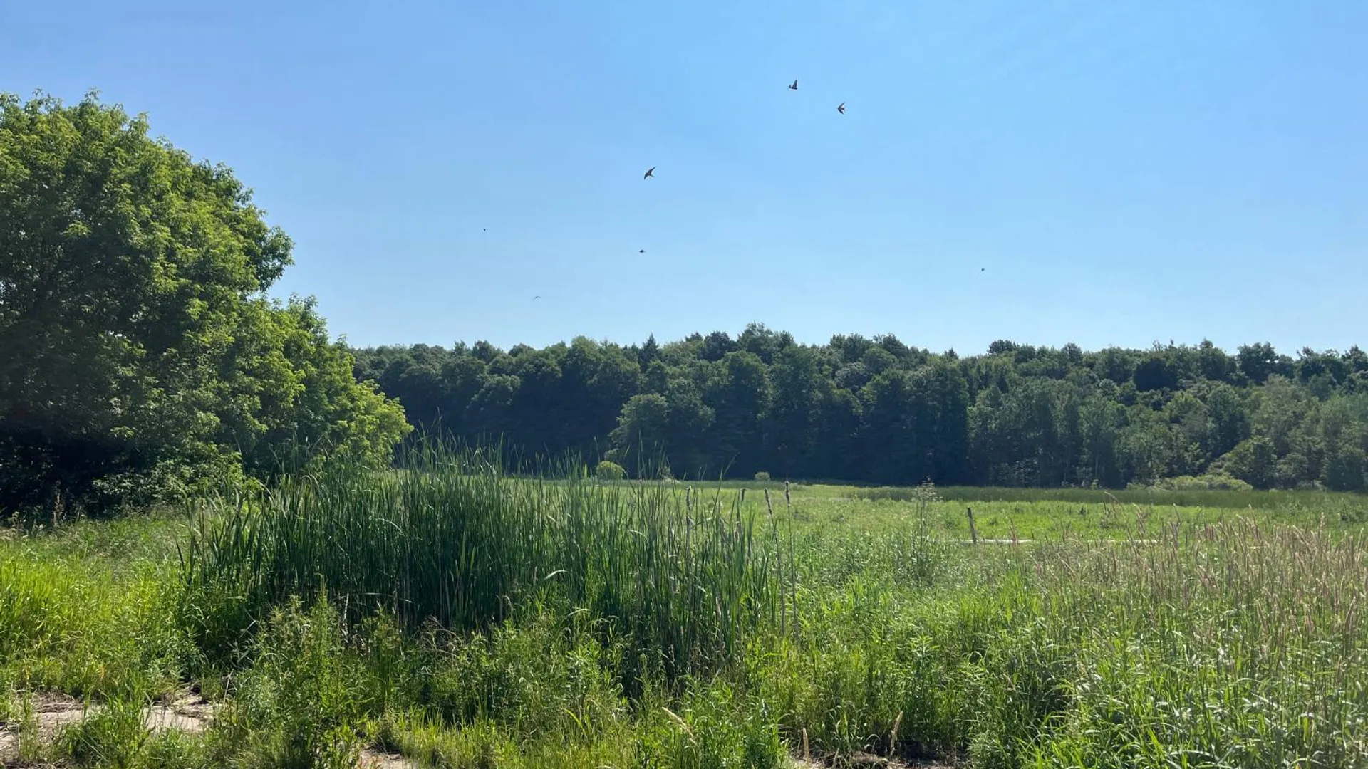 Property at 00 Austin Road #13, Antwerp, NY 13608 3