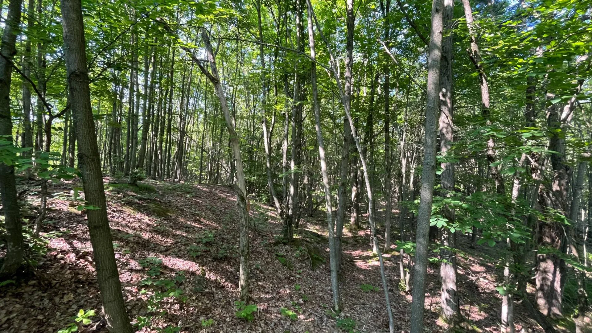 Property at 00 Austin Road #13, Antwerp, NY 13608 5