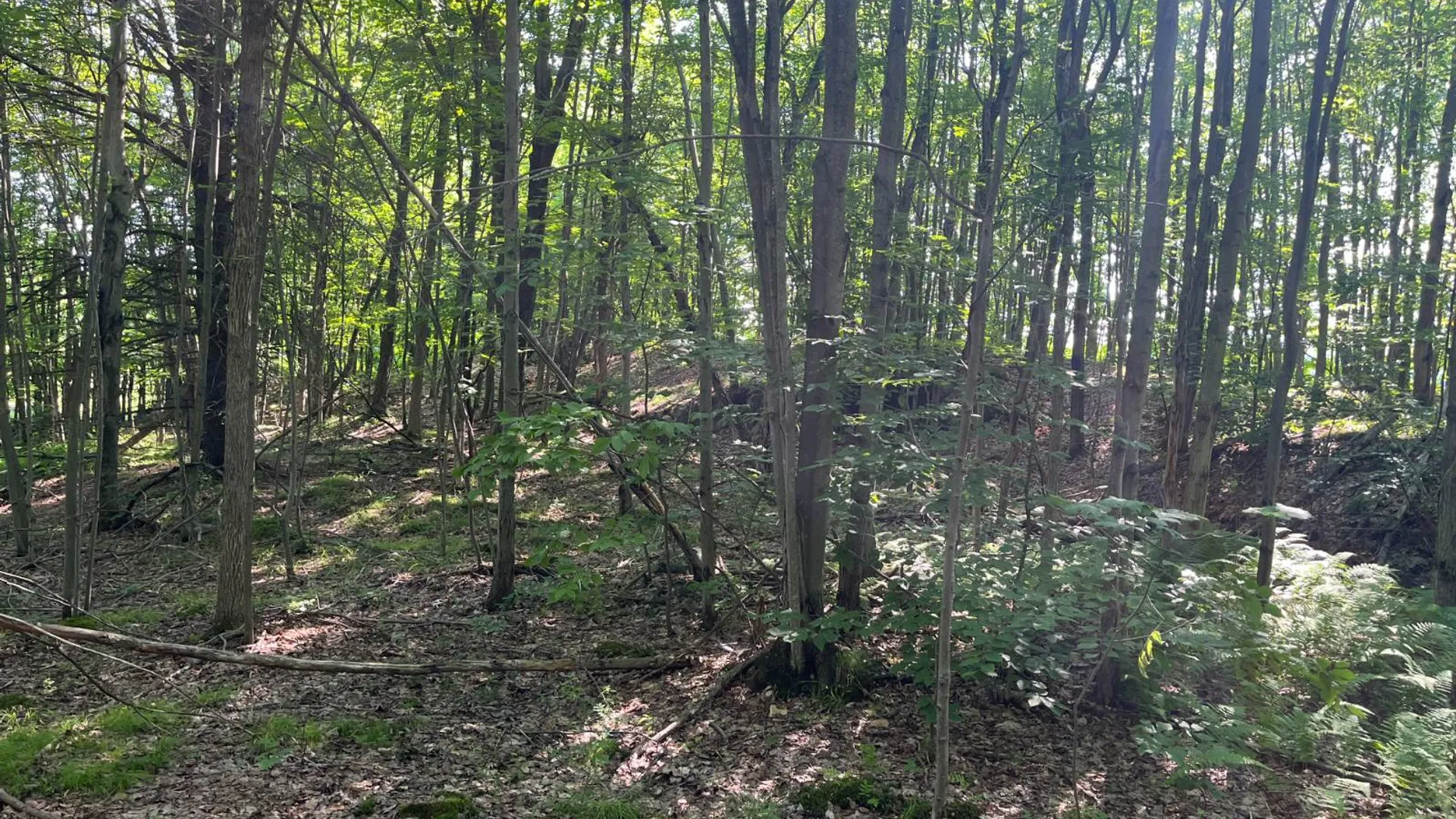 Property at 00 Austin Road #6, Antwerp, NY 13608 10
