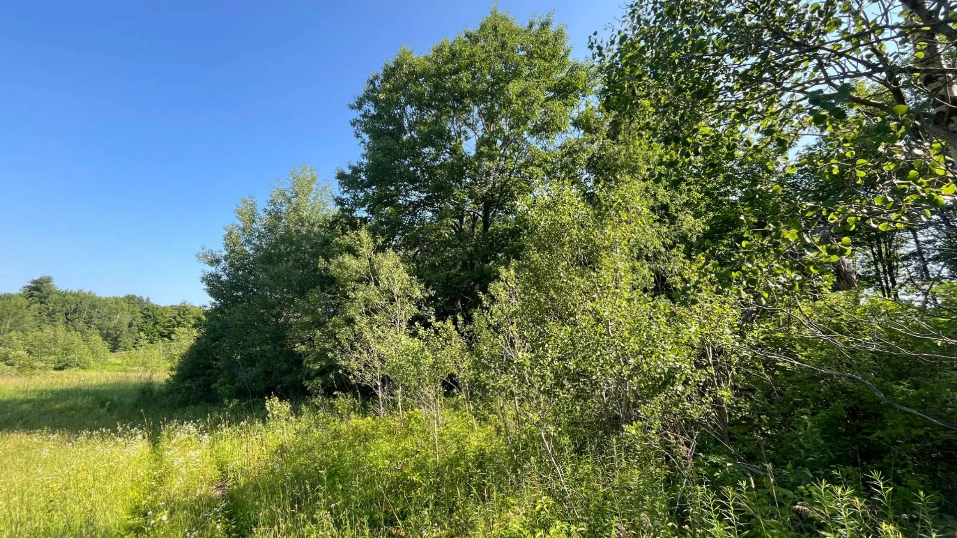 Property at 00 Austin Road #6, Antwerp, NY 13608 18