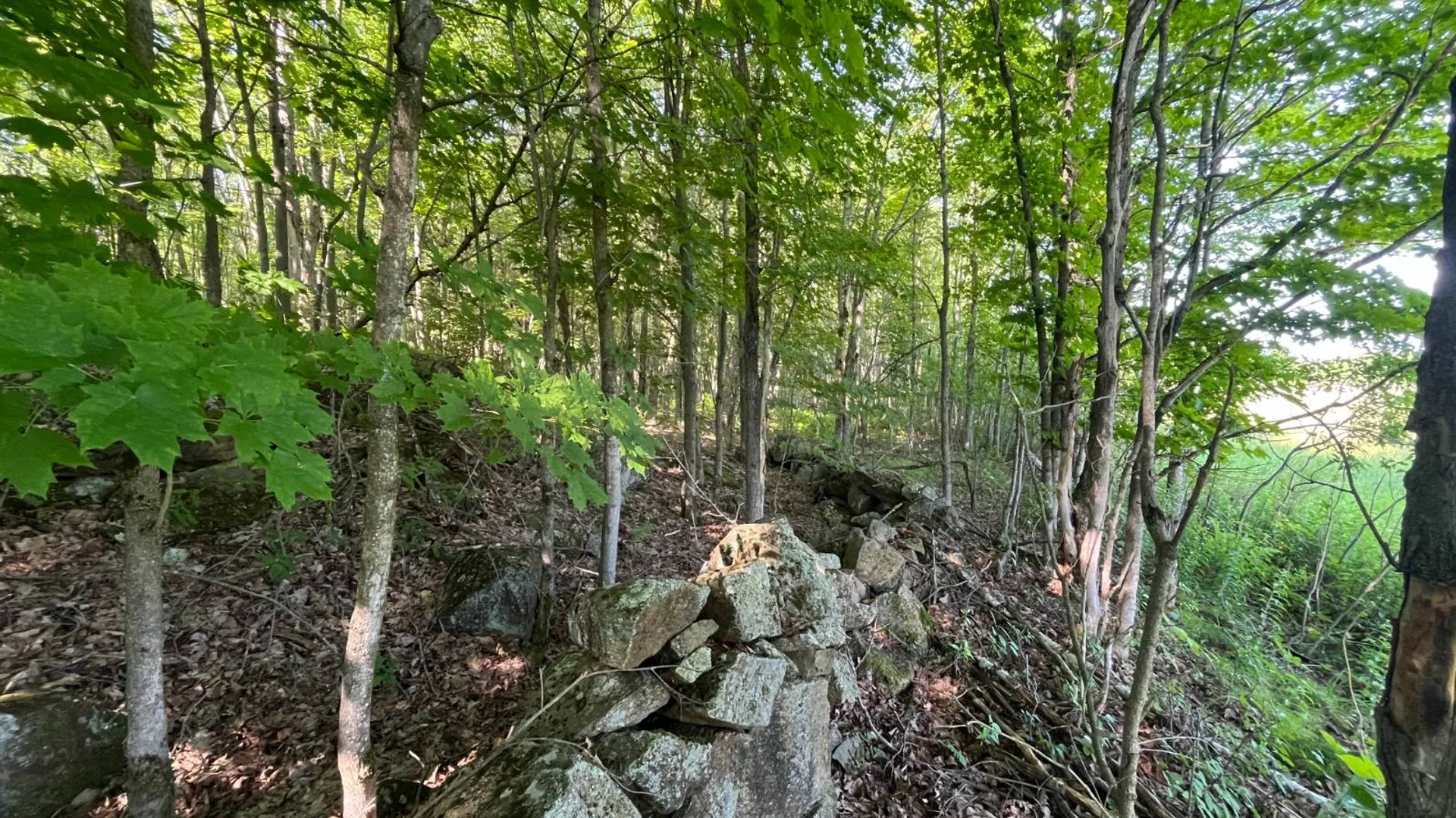Property at 00 Austin Road #6, Antwerp, NY 13608 3
