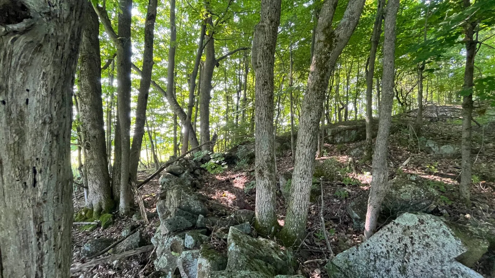 Property at 00 Austin Road #6, Antwerp, NY 13608 4