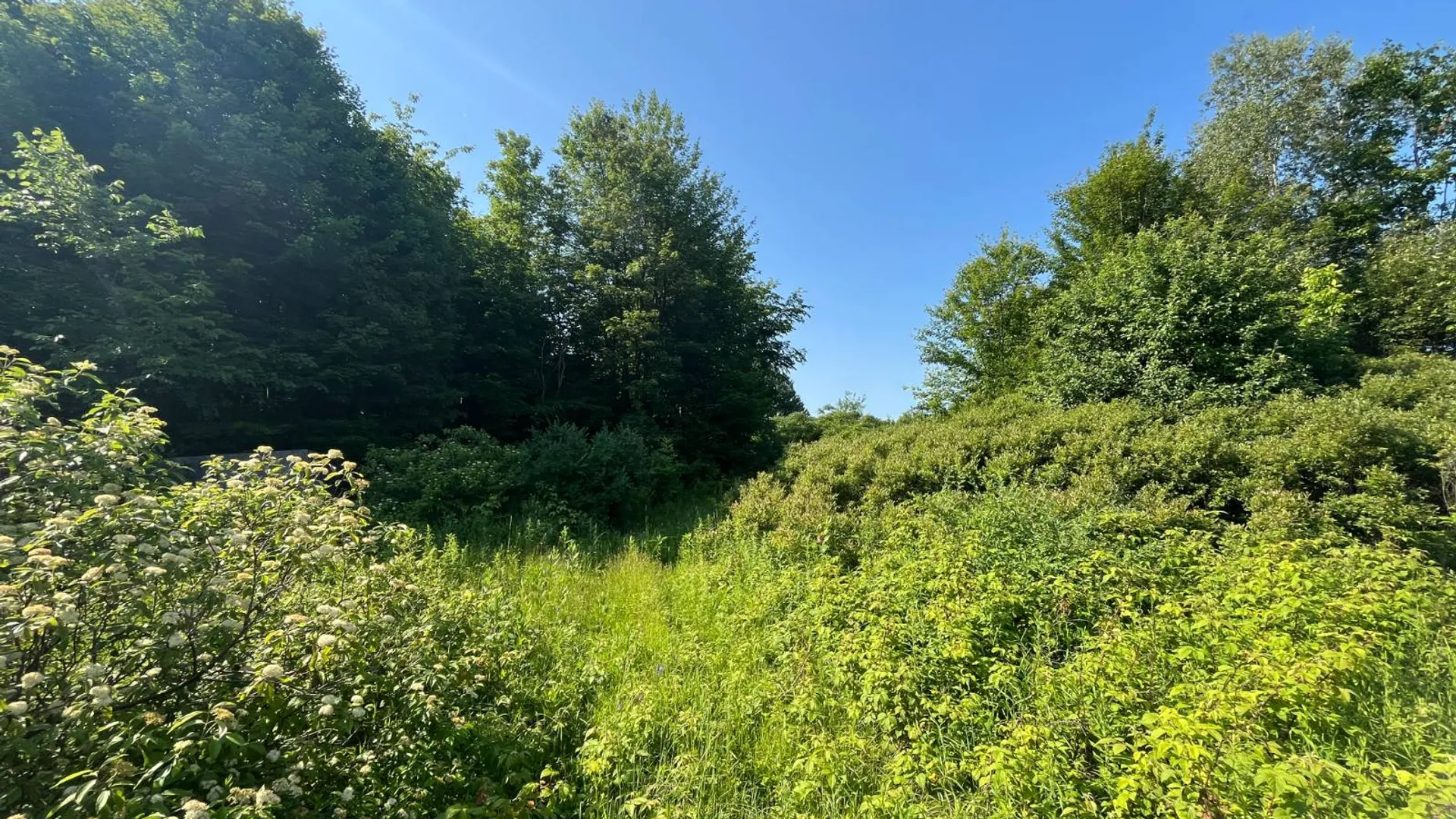 Property at 00 Austin Road #6, Antwerp, NY 13608 4
