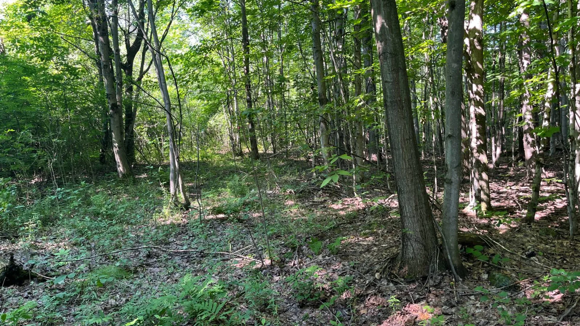 Property at 00 Austin Road #6, Antwerp, NY 13608 11