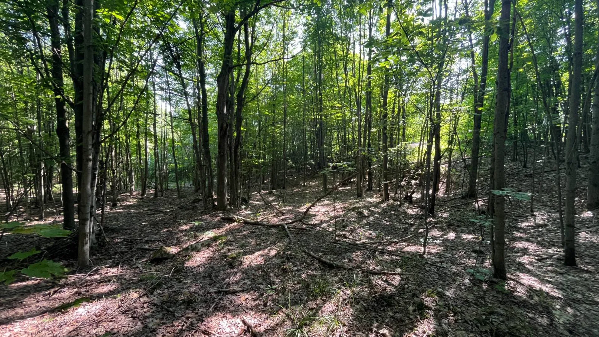 Property at 00 Austin Road #6, Antwerp, NY 13608 13