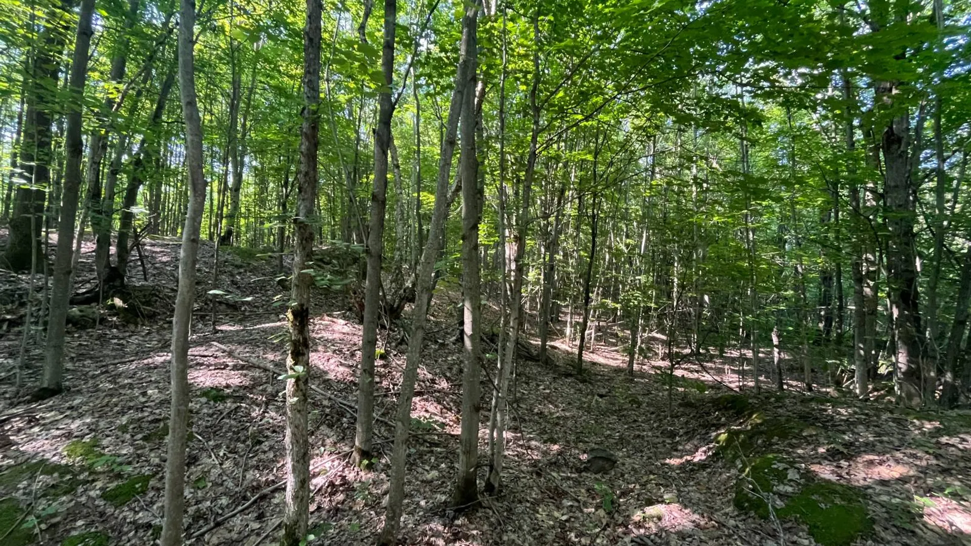 Property at 00 Austin Road #6, Antwerp, NY 13608 15
