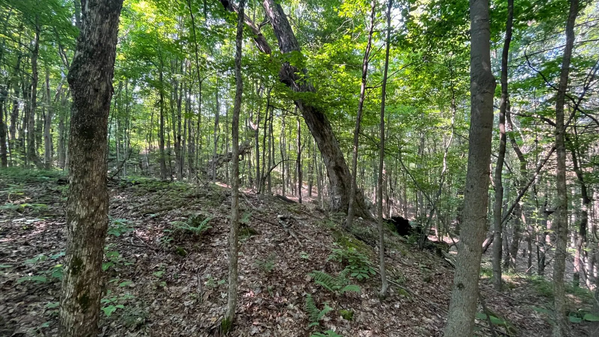 Property at 00 Austin Road #6, Antwerp, NY 13608 17