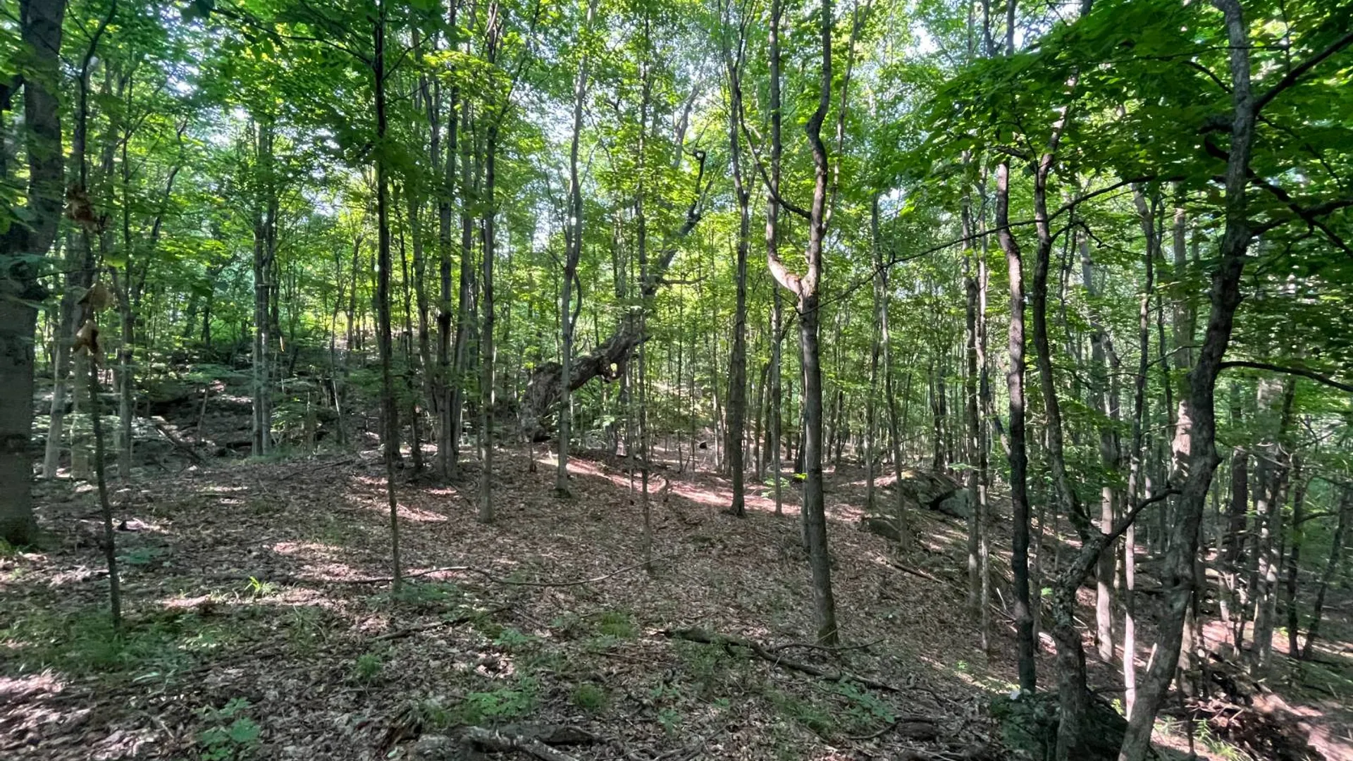 Property at 00 Austin Road #6, Antwerp, NY 13608 18