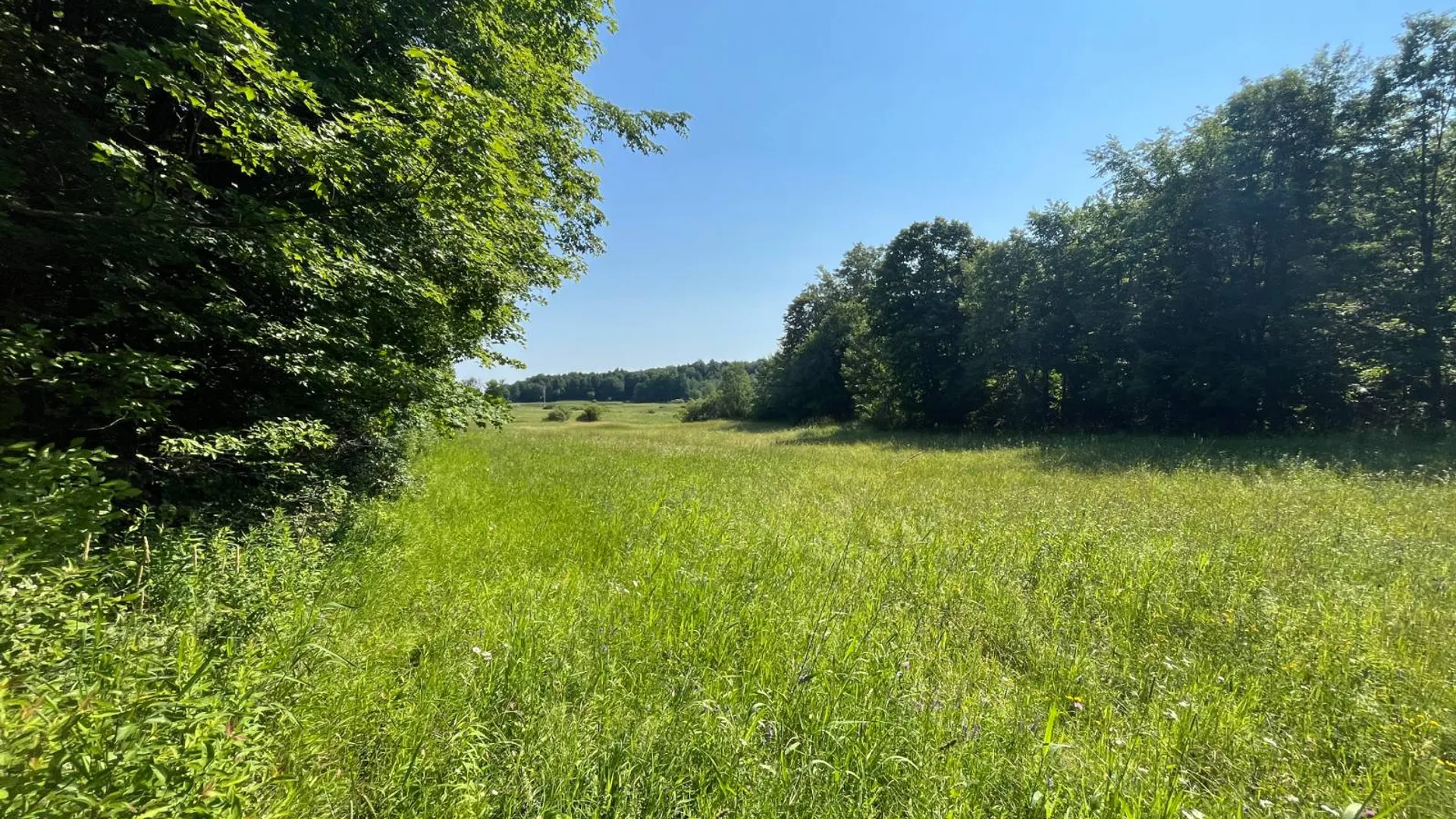 Property at 00 Austin Road #6, Antwerp, NY 13608 19