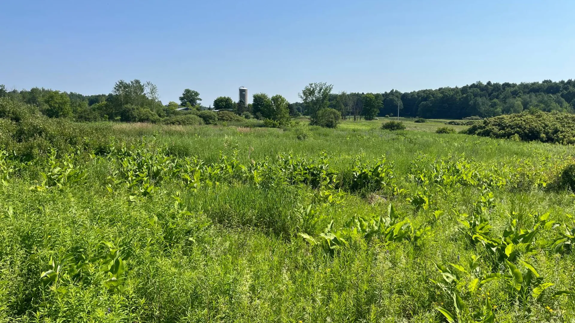 Property at 00 Austin Road #6, Antwerp, NY 13608 20