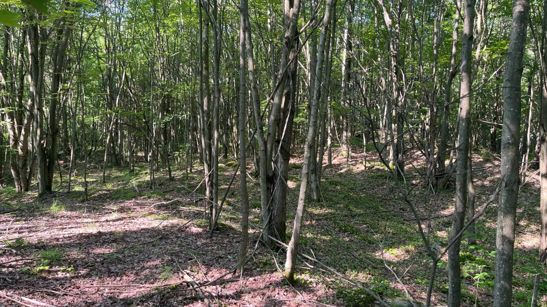 Property at 00 Austin Road #6, Antwerp, NY 13608 6