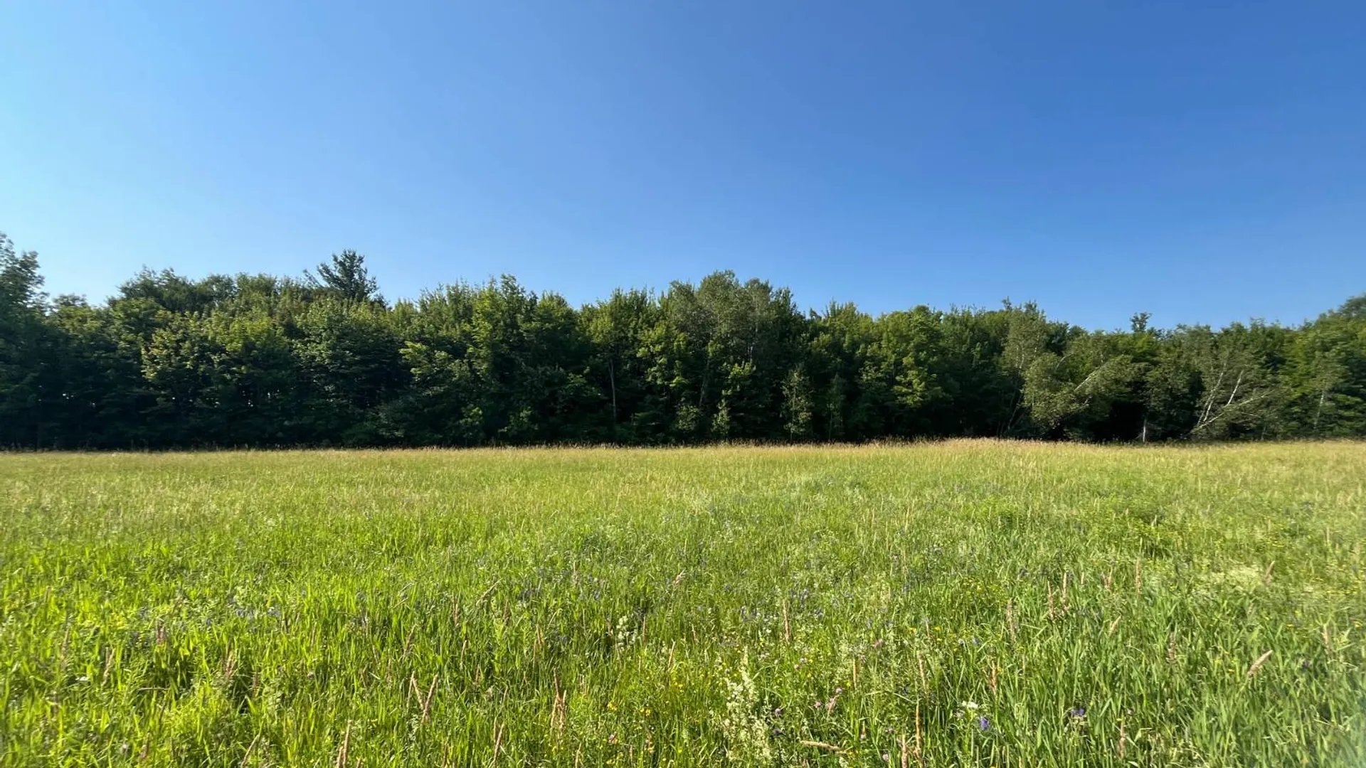 Property at 00 Austin Road #6, Antwerp, NY 13608 8