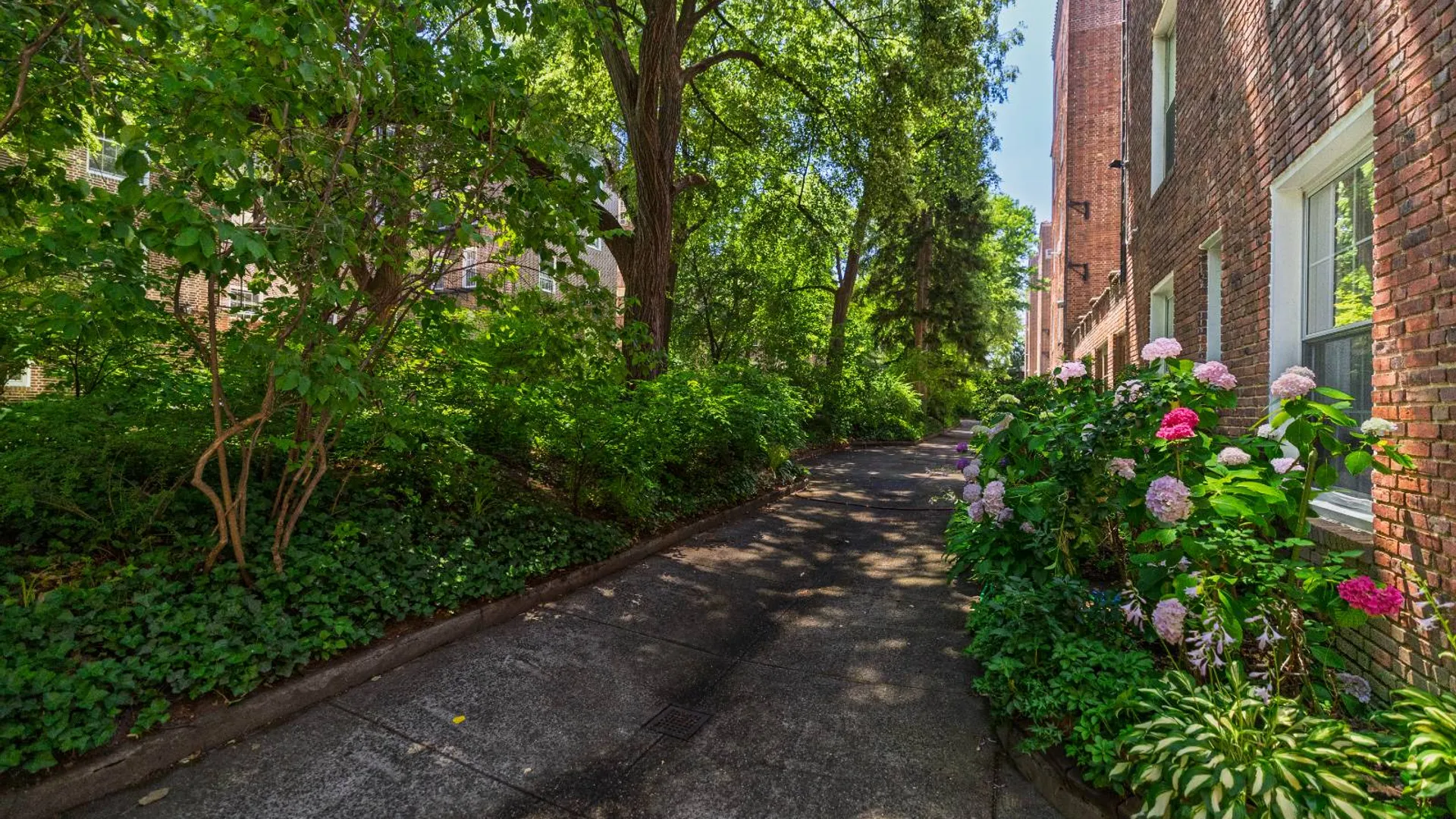 Property at 3721 84th St, Jackson Heights, NY 11372 18