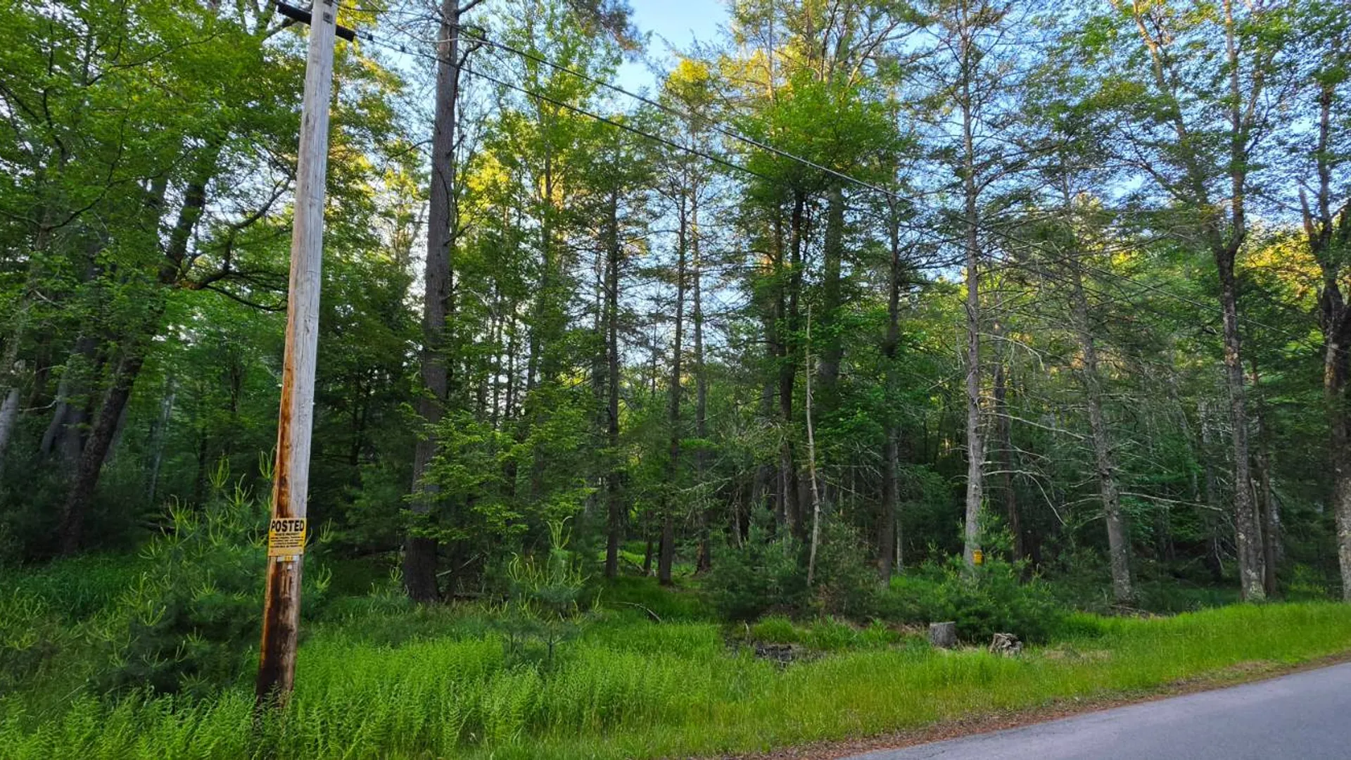 Property at Lot 303 Old Tacy Road, Bethel, NY 12720 3