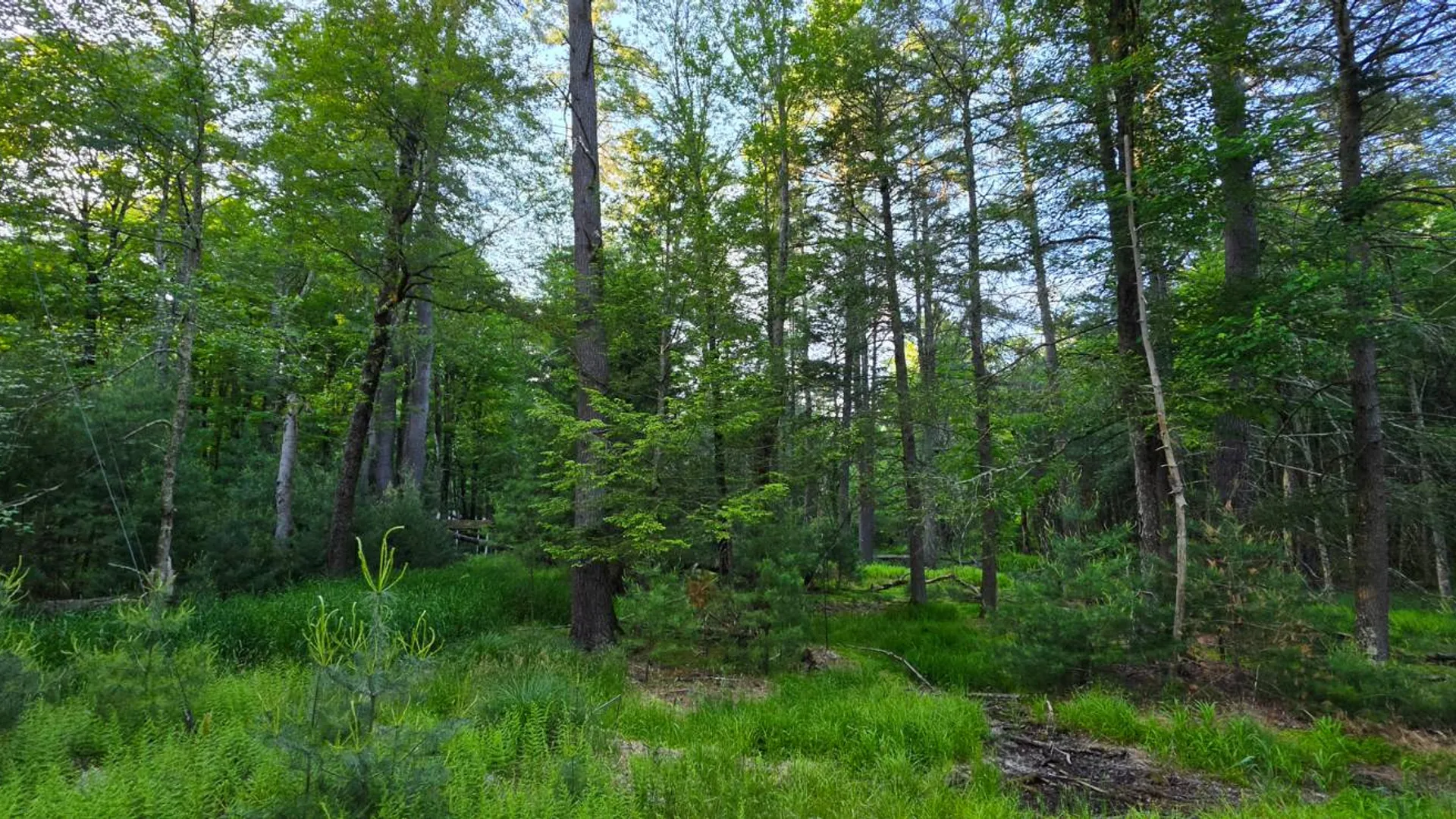 Property at Lot 303 Old Tacy Road, Bethel, NY 12720 4