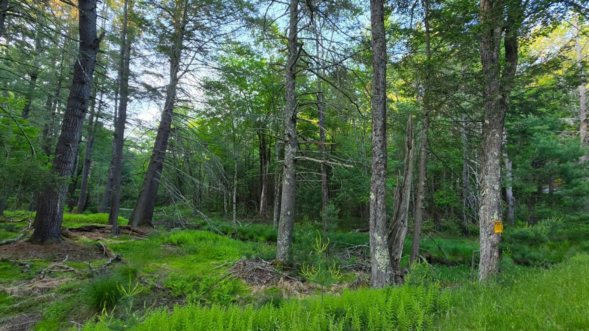 Property at Lot 303 Old Tacy Road, Bethel, NY 12720 6
